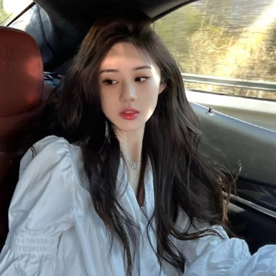 高卢英雄：首领争夺战